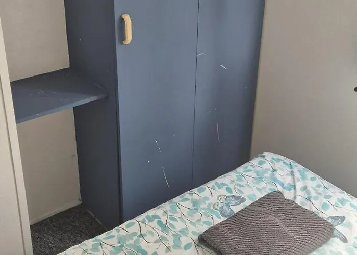 Przyczepa Holenderska Poco *